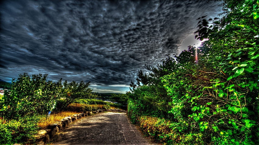 cobblestone path through nature under dark clouds r, cobblestones, path, bushes, clouds, r, dark HD wallpaper