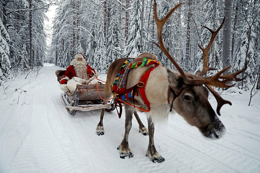 Santa on his sleigh, Claus, Sleigh, Santa, Reindeer HD wallpaper
