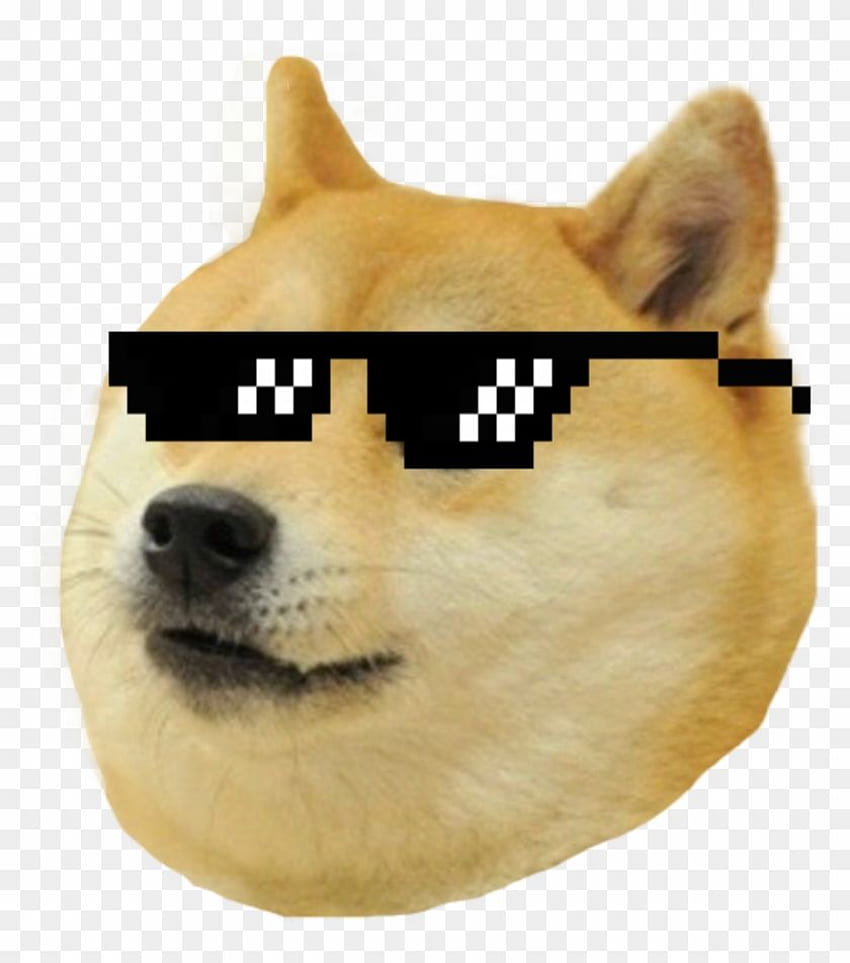 Thug Life Meme Dog を探す, Png , Transparent Png. より透明な png を検索するには . Thug life funny, Thug life meme, Thug life, Doggo Meme HD電話の壁紙