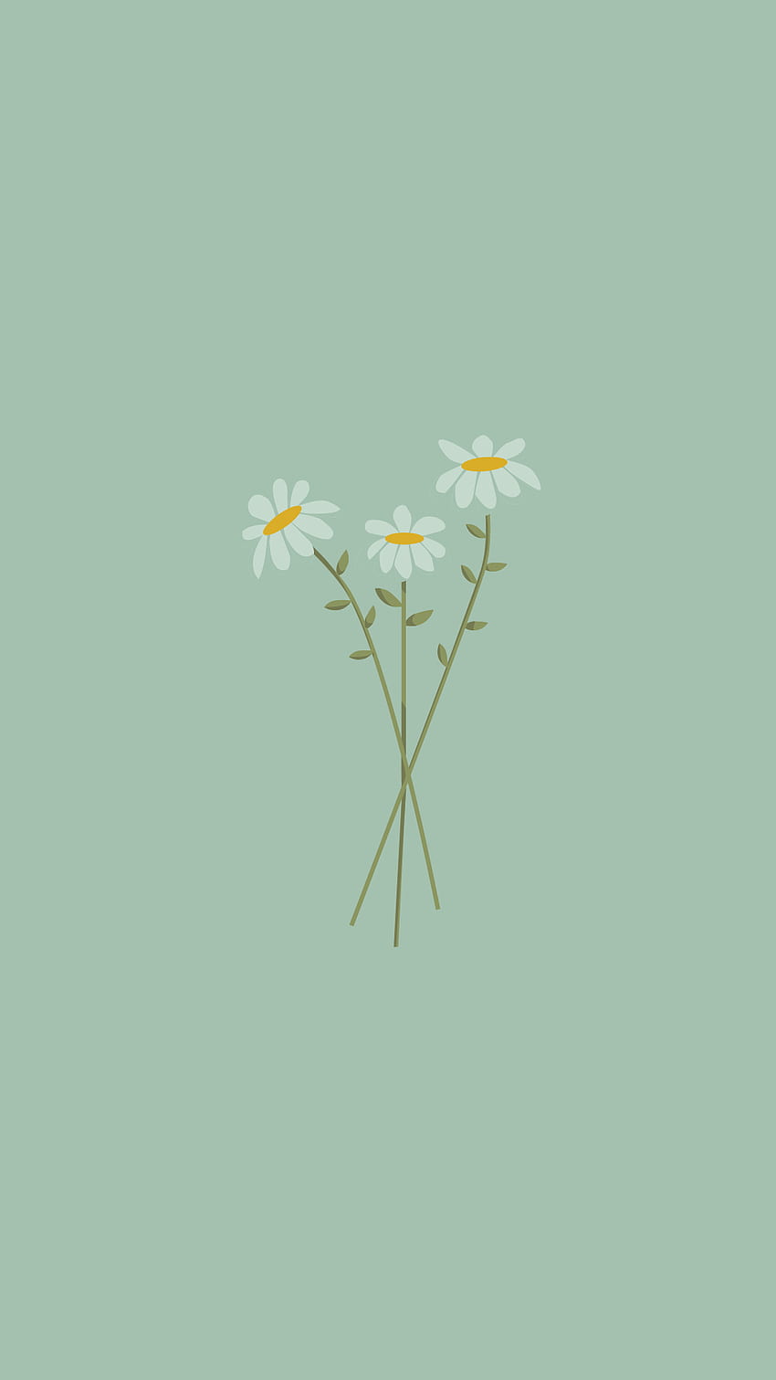 Daisy, calm, art, flowers, green, petal, nature, peace, freshness HD phone wallpaper