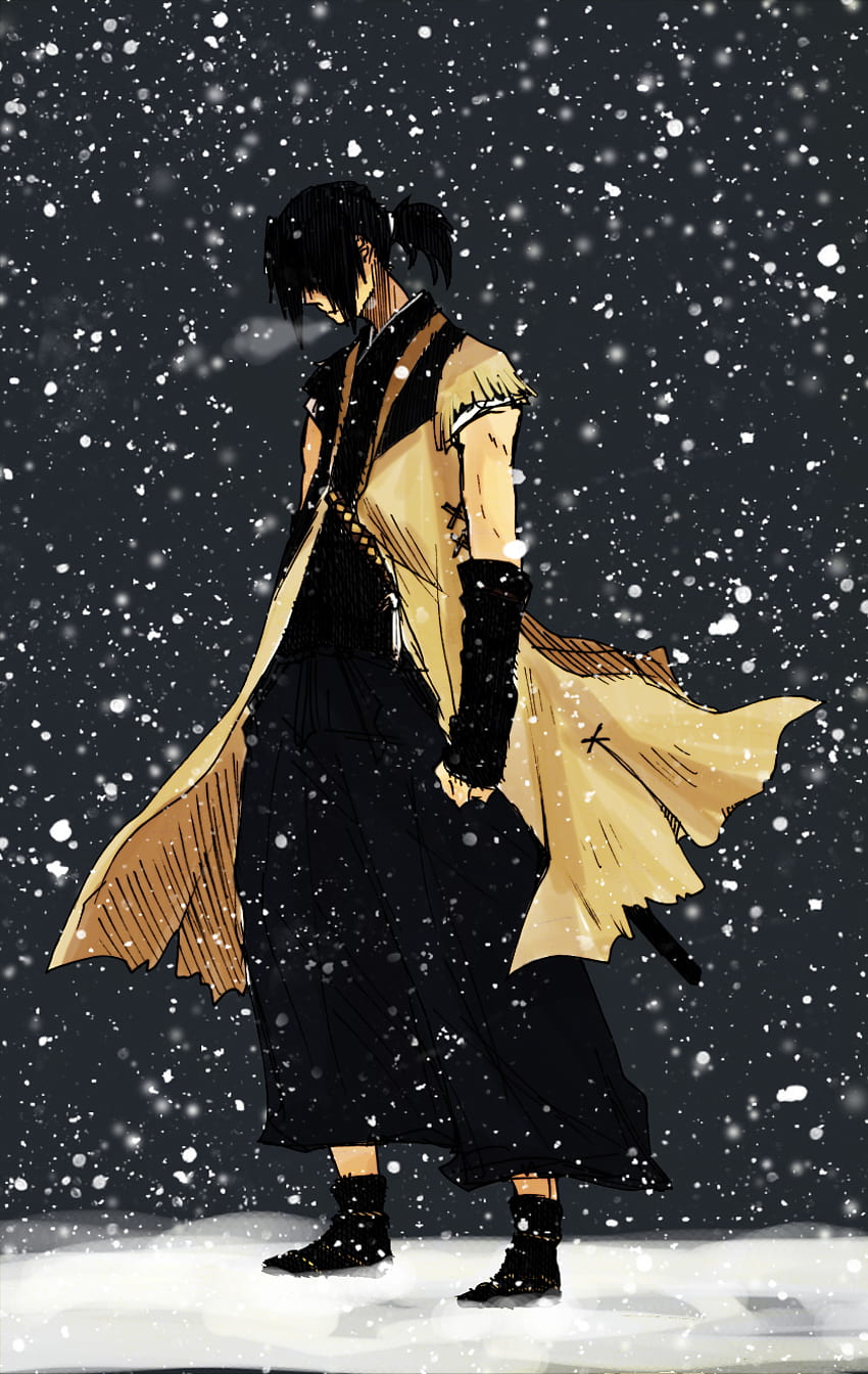 Anime Sword of the Stranger HD Wallpaper by Sol Ferrari