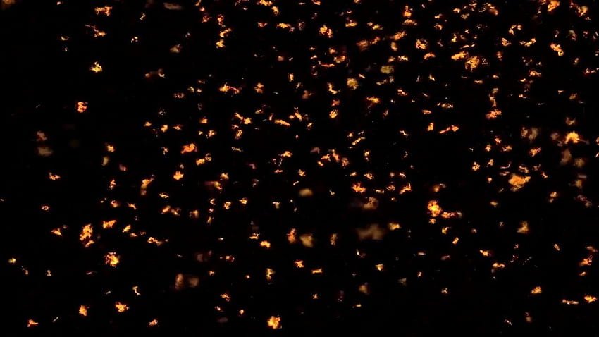 Video de de partículas de fuego con efecto de humo fondo de pantalla