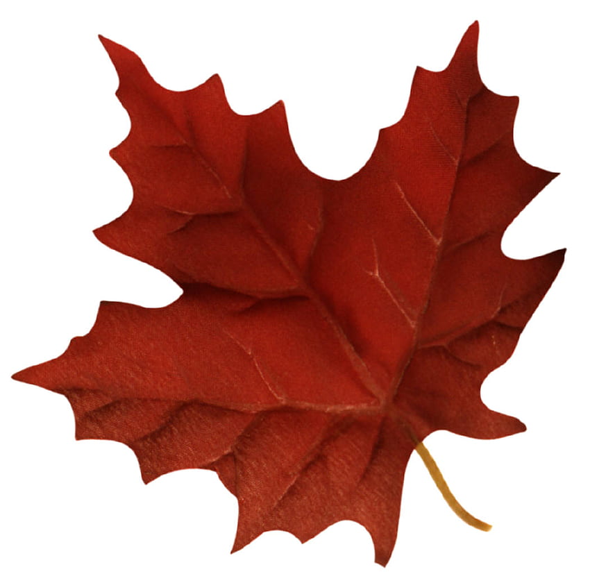 Canadian Maple Leaf Logo, Canada Maple Leaf HD wallpaper