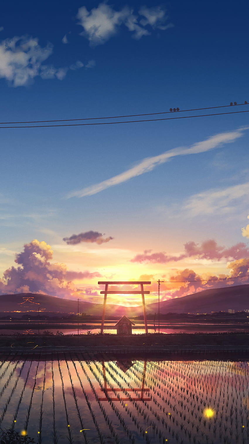 Sunrise, Anime, Scenery, Paddy Field, Farm, phone , , Background, and . Mocah HD phone wallpaper