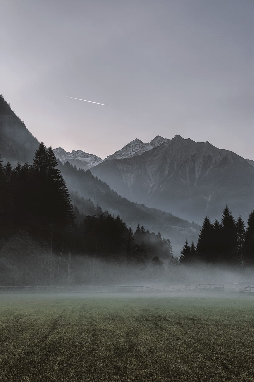 Nature, Trees, Mountains, Fog HD phone wallpaper