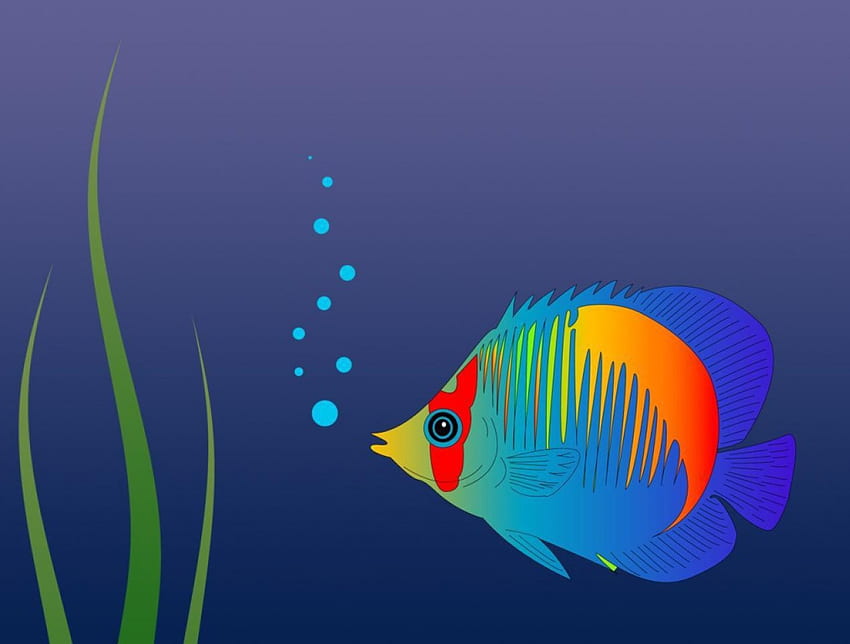 Colorful fish, fish, abstract HD wallpaper