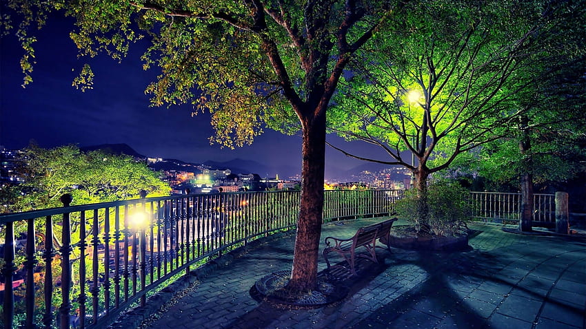 Pemandangan kota yang indah, pohon taman, malam, kota Wallpaper HD