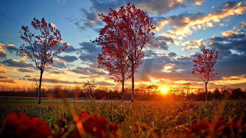 Spätherbst-Sonnenuntergang, Land Herbst-Sonnenuntergang HD-Hintergrundbild