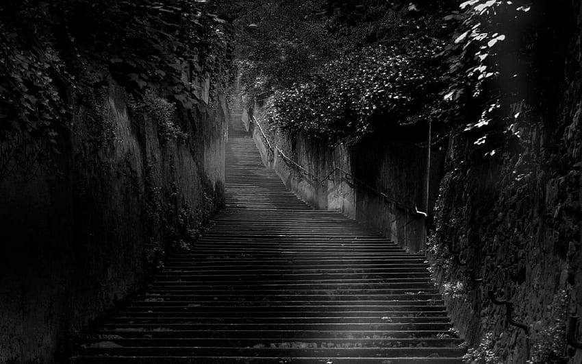 Dark stairs, steps, branches, walls, stairs HD wallpaper