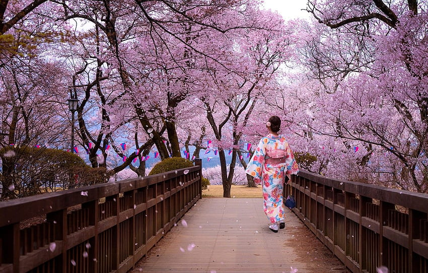 Trees, Park, Woman, Japanese, Spring - Tokyo Japan Flower Garden HD  wallpaper | Pxfuel