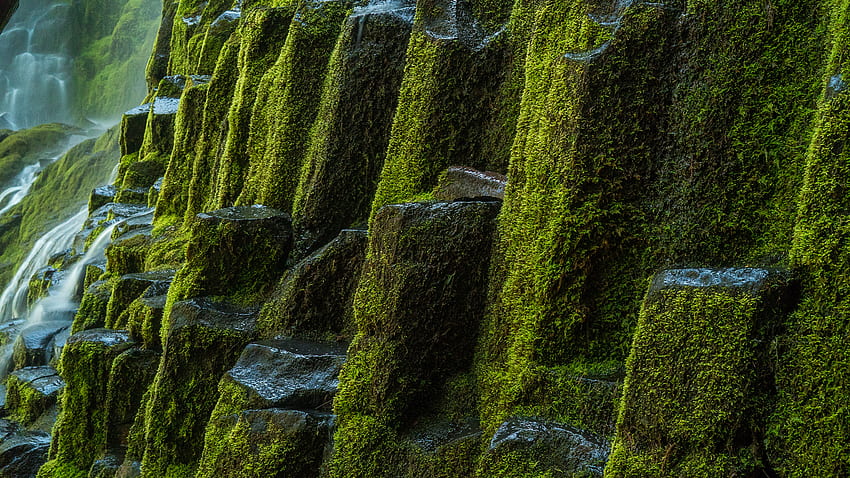 Vista aproximada de pedras cobertas de algas, rochas, cascata, fundo do córrego, natureza papel de parede HD