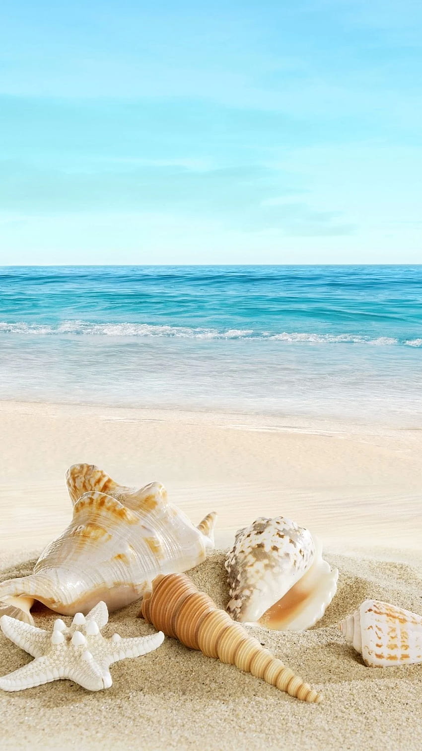 Nature Sunny Sea Shell Beach iPhone 6 . Color - Glitter, Summer Beach iPhone HD phone wallpaper