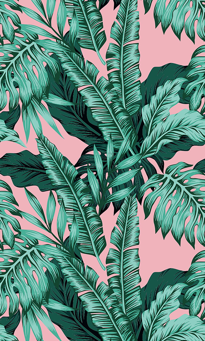 Tropical Pink Background. Cute background, Background, Phone background HD phone wallpaper
