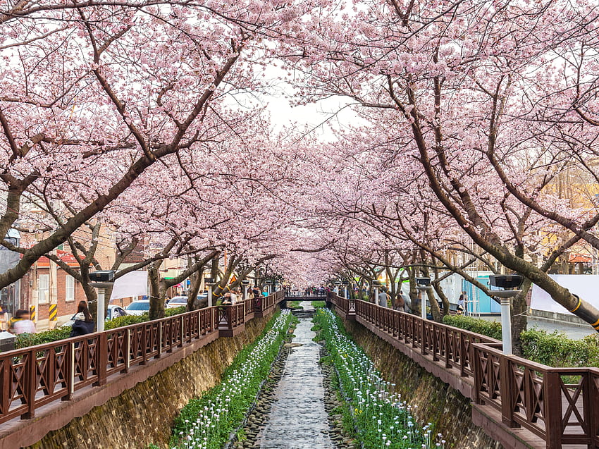 Най-красивите места в Южна Корея. Condé Nast Traveler HD тапет
