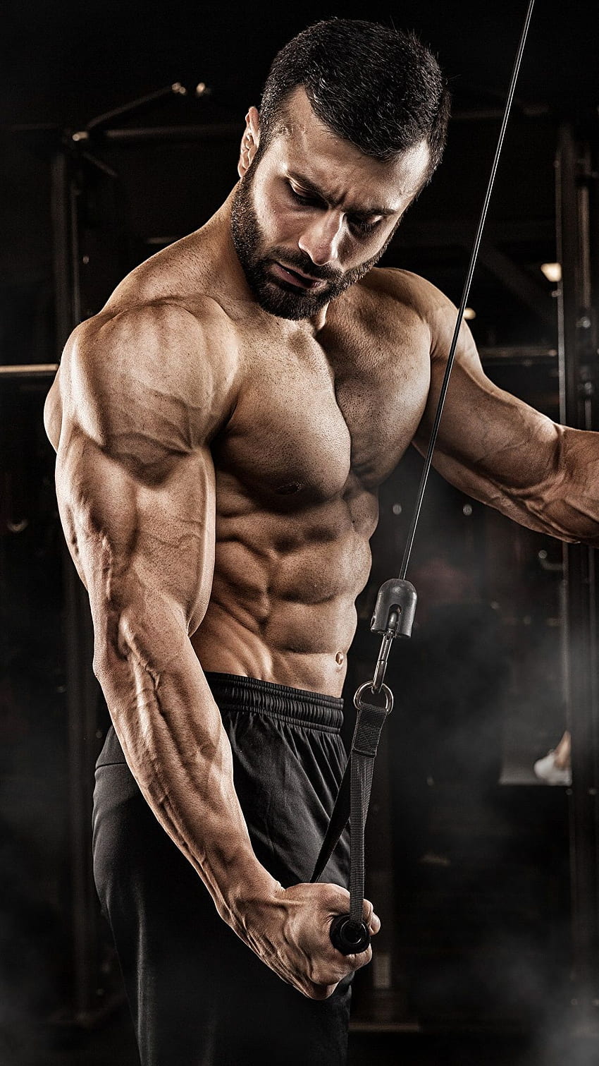 男性の筋肉トレーニング フィットネス スポーツ、ボディービル HD電話の壁紙