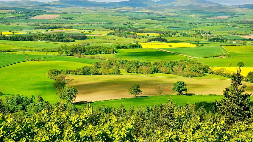 Landscape of Nature, landscape, firlld, green, beauty HD wallpaper
