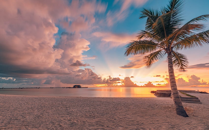 Coucher de soleil au bord de l'océan, Maldives, palmiers, nuages, îles, coucher de soleil, plage, océan Fond d'écran HD