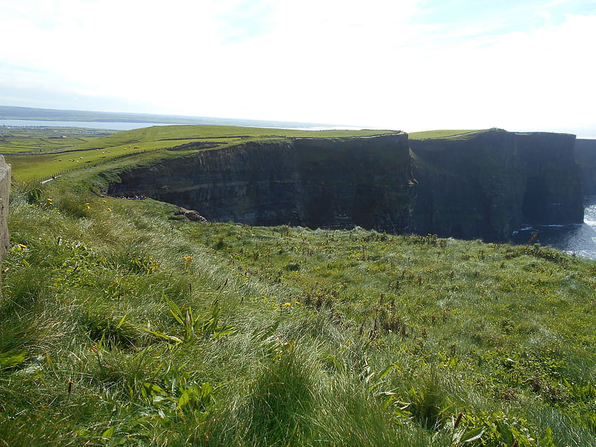 Cliffs of Moher, seaside, Grass, Ireland HD wallpaper