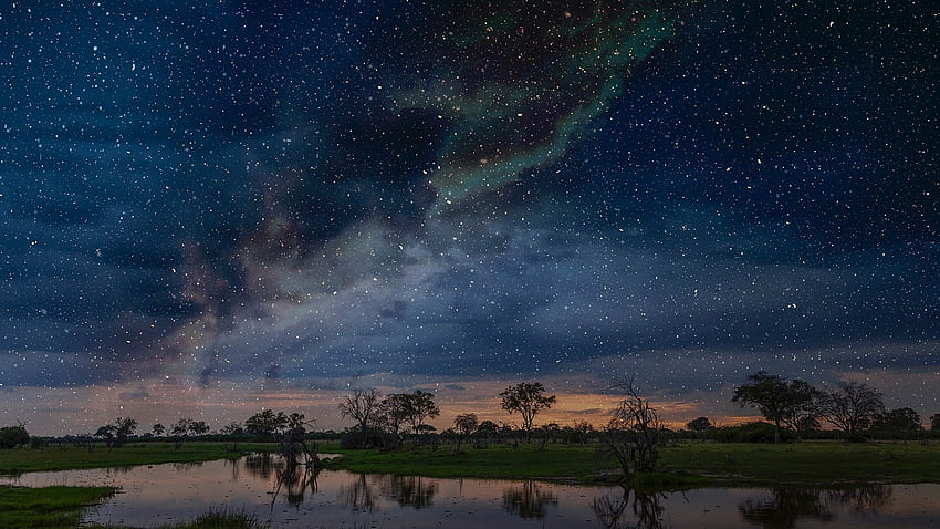 Starry night sky over swamp, Okavango Delta, Botswana, Limpopo, South Africa. Windows 10 Spotlight HD wallpaper