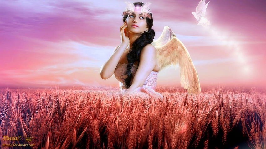 ~Angel of Magic~, ptaki, pióra, kolory, piękne dziewczyny, sztuka cyfrowa, skrzydła, dziwne rzeczy, które ludzie noszą, tła, kreatywne gotowe, anioły, miłość cztery pory roku, różowy, fantasy, ładne, manipulacja, miękkie piękno, modele , piękne, fantastyczne dziewczyny Tapeta HD