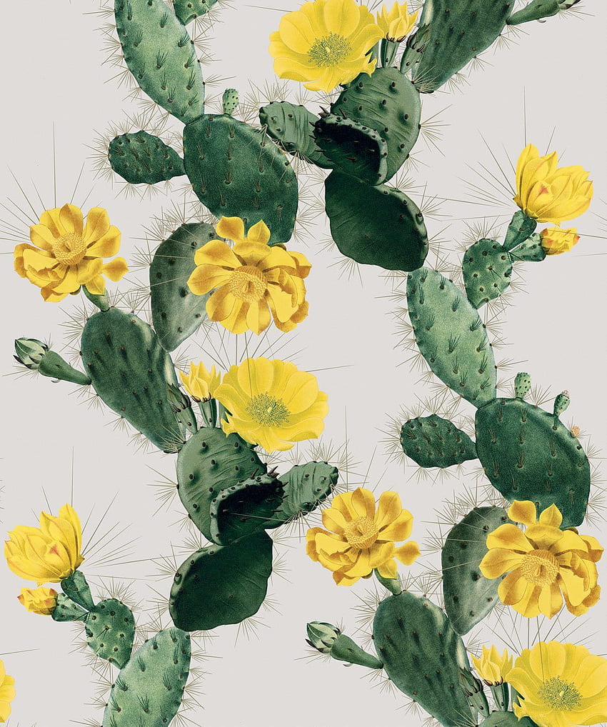 Cactus seducente • Design audace e luminoso con cactus • Milton & King, acquerello di cactus Sfondo del telefono HD