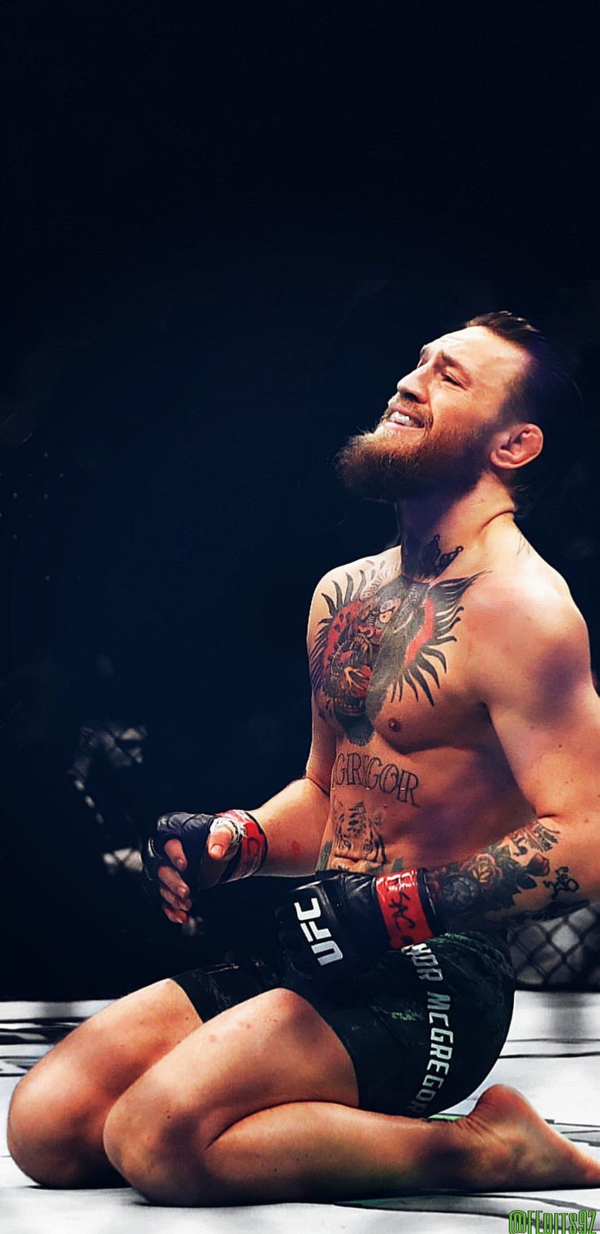Conor McGregor, UFC Sfondo del telefono HD