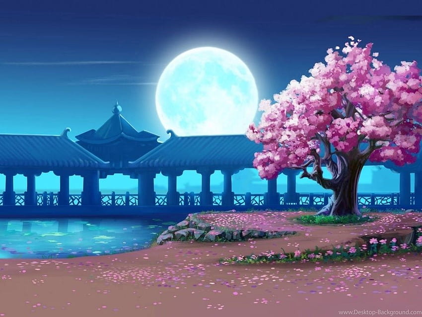 Sakura Tree - Mandarin Mid Autumn Festival HD-Hintergrundbild