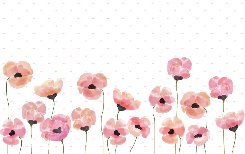 Pink watercolour poppy – Make and Tell HD wallpaper
