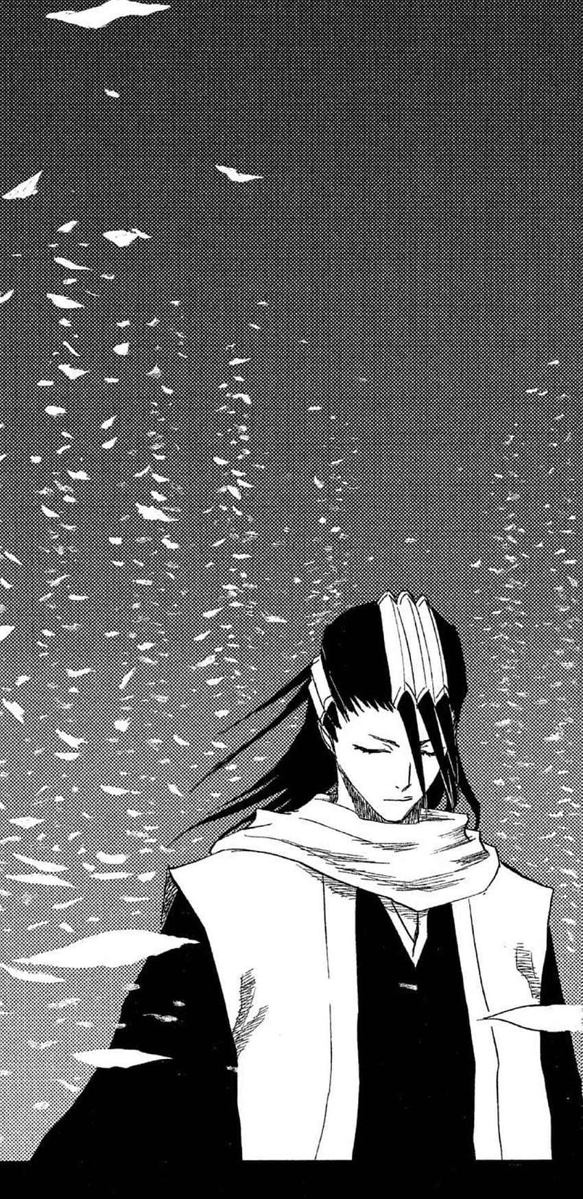 Thought this panel from the manga made for a great mobile, Bleach Manga HD phone wallpaper