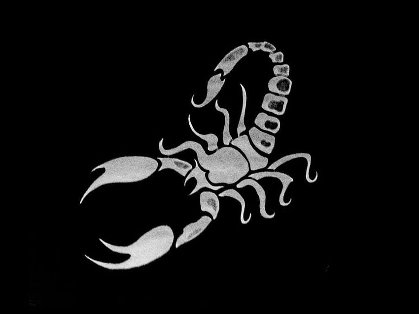 Awful Scorpio Tattoo Design. Sabloane. Scorpio, Zodiac, Tribal Scorpion HD  wallpaper | Pxfuel