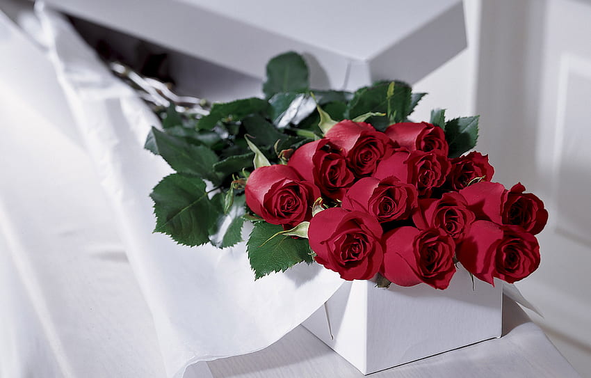 Piękne czerwone róże, róża, bukiet, róże, miłość, czerwień, natura, kwiaty, prezent Tapeta HD