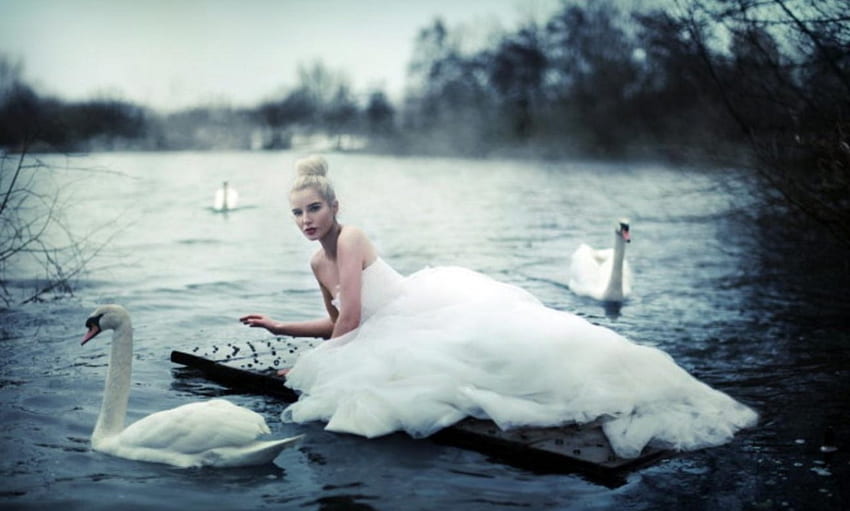 The SWAN LADY, swans, lady, lake, woman HD wallpaper