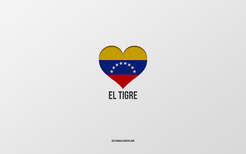 I Love El Tigre, Colombian cities, Day of El Tigre, gray background, El Tigre, Colombia, Colombian flag heart, favorite cities, Love El Tigre HD wallpaper
