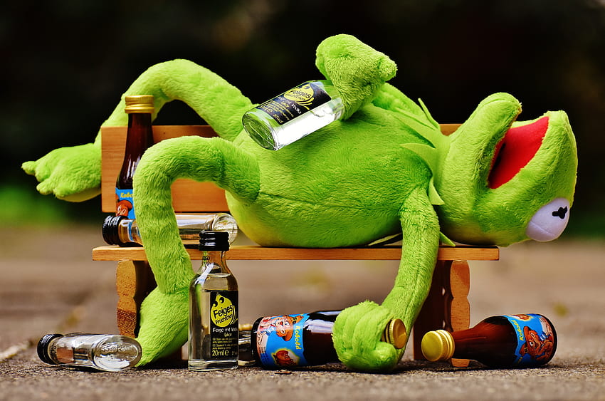 : hijau, minum, beristirahat, katak, mainan, alkohol, ara, duduk, bank, mabuk, lucu, mewah, boneka binatang, kermit, boneka - 497335 - saham, Drunk Animals Wallpaper HD