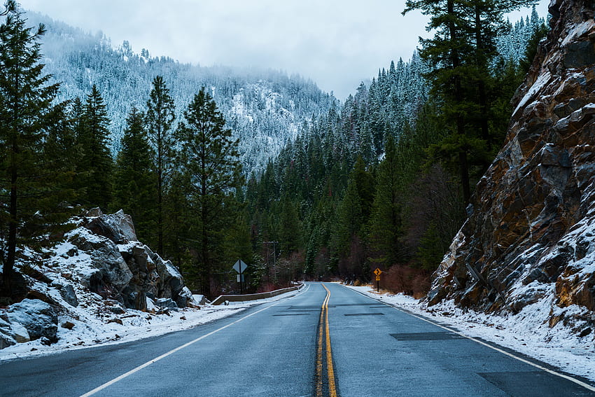 冬, 自然, 雪, 道路, 森 高画質の壁紙
