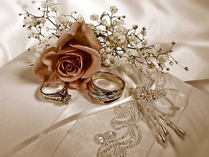 Grupo de anillos de boda, Comprometidos fondo de pantalla