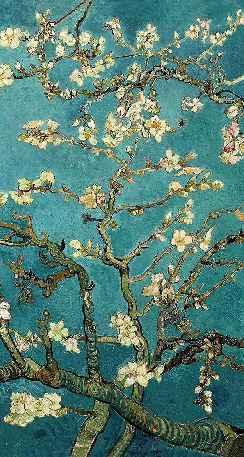 bester VANGOGH. Sonnenblumen, Kunstdesigns, Tumbler Van Gogh iPhone HD-Handy-Hintergrundbild