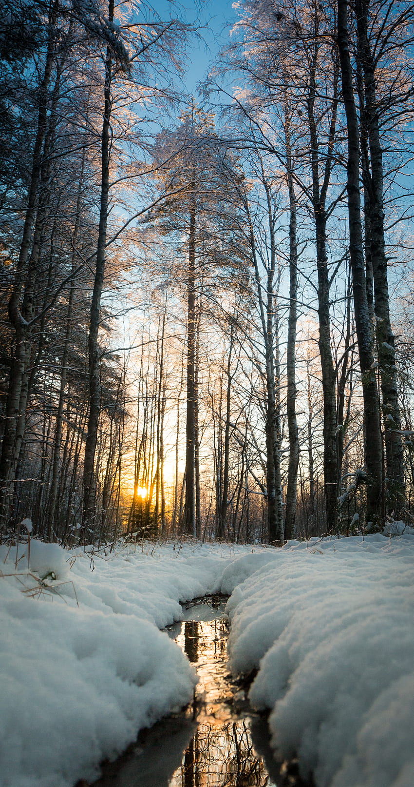 자연, 나무, 태양, 눈, 작은 만, 시내 HD 전화 배경 화면