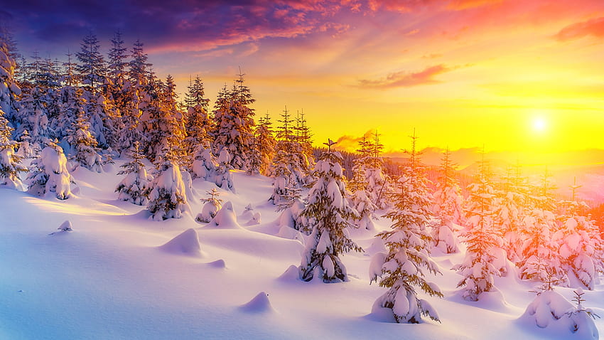 冬の朝の光、日差し、冬、朝、Firefox Persona テーマ、日の出、雪、木々、山、森 高画質の壁紙