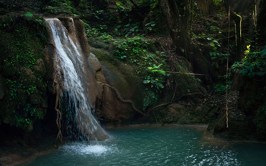 Una singola ragnatela ad Agua Azules, Messico, alberi, fiume, piante, stagno, rocce Sfondo HD
