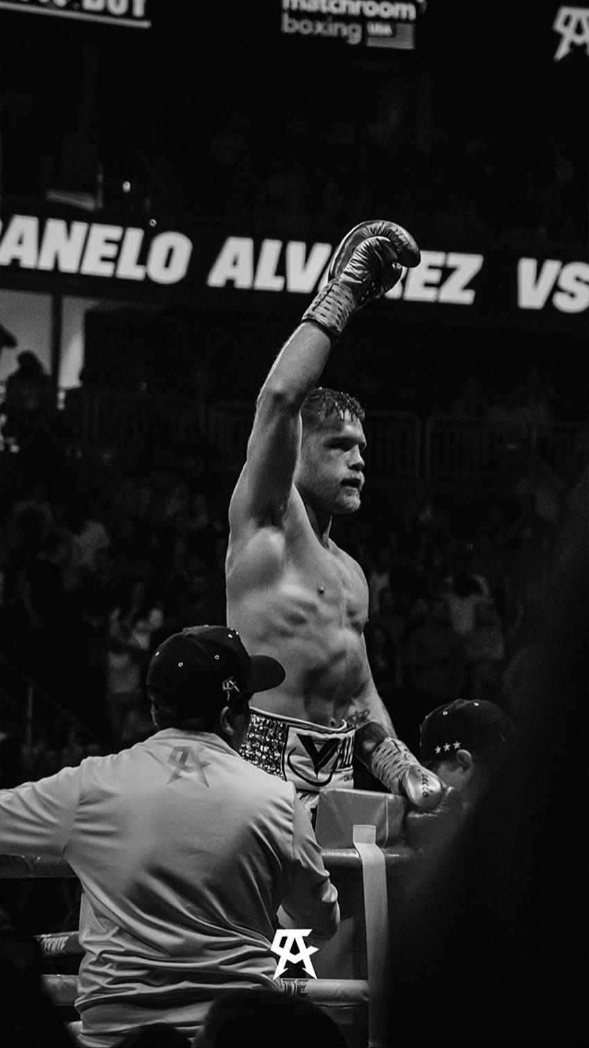サウル・カネロ・アルバレス。 Saul canelo alvarez, Ufc poster, Sport boxing, Boxing Champions HD電話の壁紙