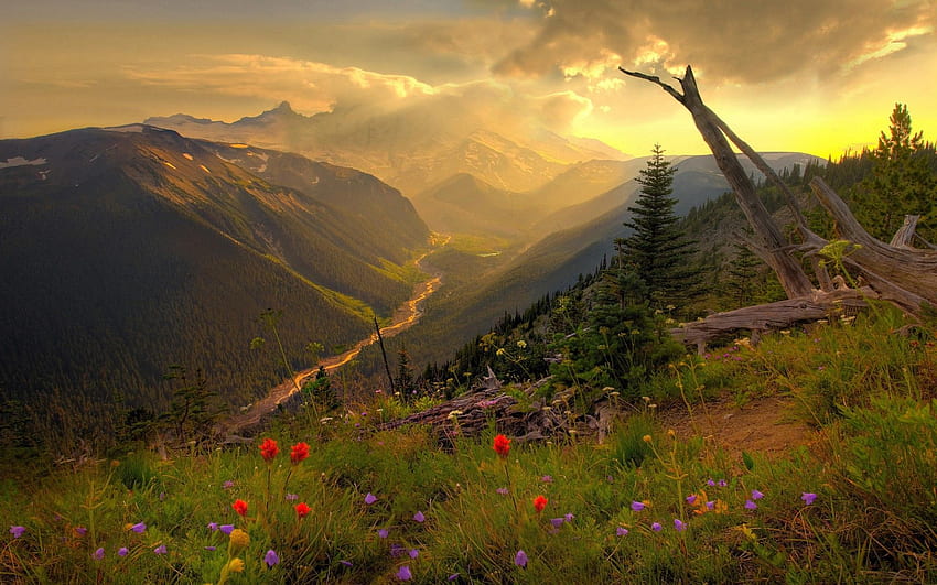 manzara, doğa, bahçe, sonbahar, güzel, Garden Mountain HD duvar kağıdı