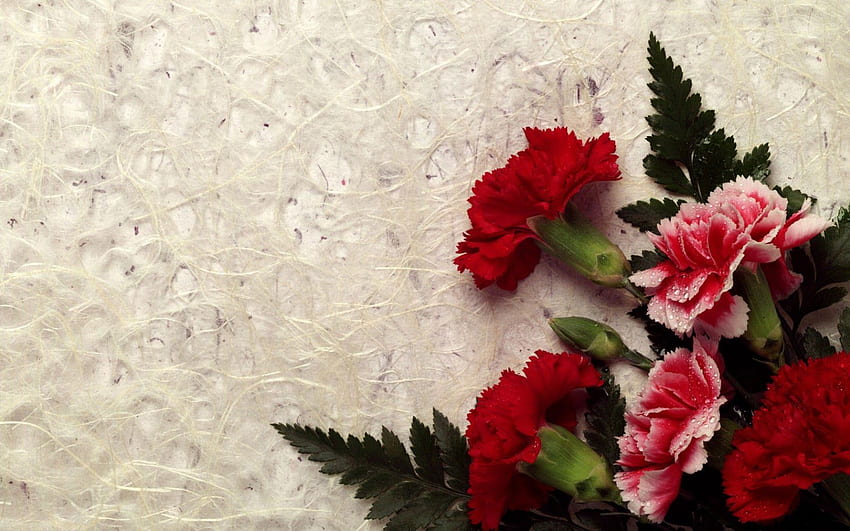 Dekstop: papel de parede de flores, flor, floral papel de parede HD