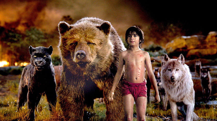 Mowgli jungle Book, book edition, junge book, vintage, wolf, HD wallpaper |  Peakpx