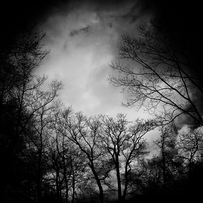 Trees, Clouds, Dark, Branches, Bw, Chb, Gloomy HD phone wallpaper