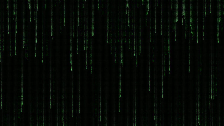 aterrizaje Series de tiempo Raza humana Matrix, Black Matrix HD wallpaper | Pxfuel