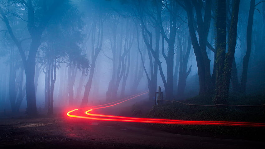 Mysterious Light Foggy Forest, Foggy Street HD wallpaper