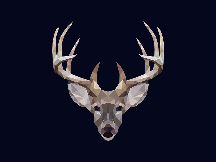 Polar Deer by Sam Vector on Dribbble, Deer Geometric HD wallpaper