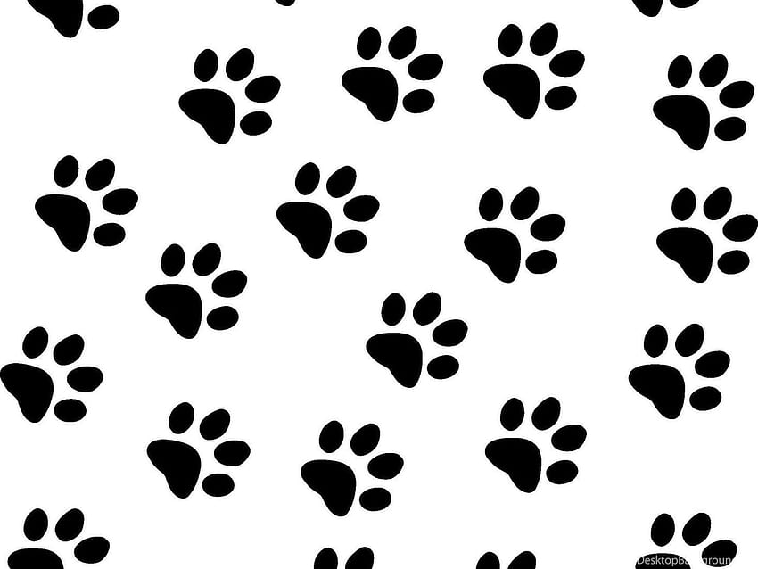 Of Cat Paw Prints Lovely Background, Paw Print HD wallpaper