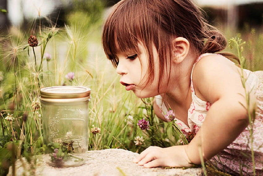 I see you, glass jar, bug, field of flowers, child, rock HD wallpaper